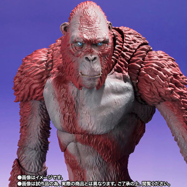S.H.MonsterArts - Godzilla x Kong: The New Empire: Skar King