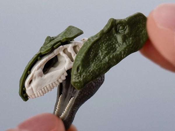 Plannosaurus Giganotosaurus Model Kit