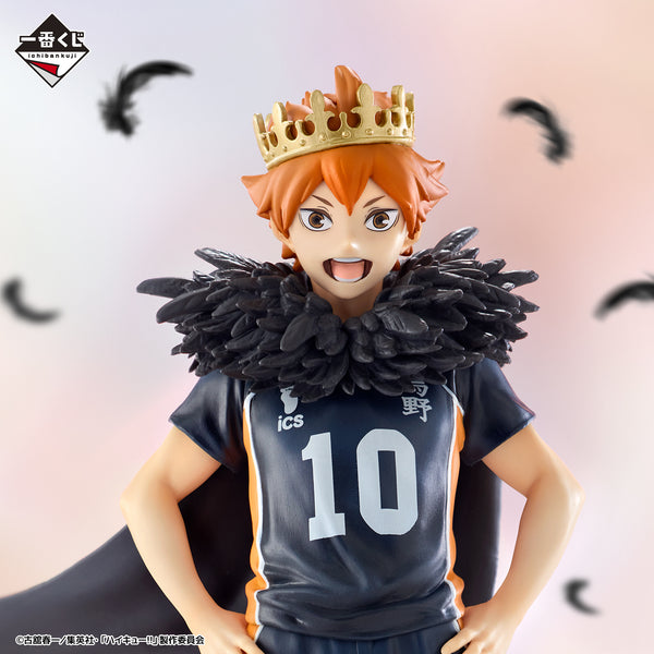Haikyu! Ichibansho: Shoyo Hinata (10th Anniversary!)