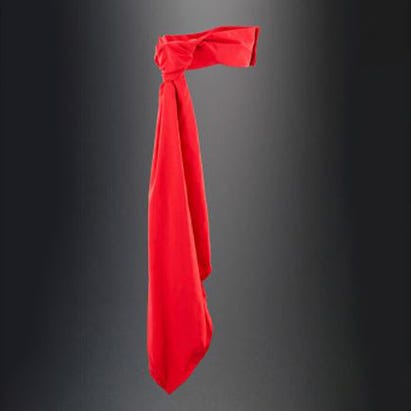 Kamen Rider 50th Anniversary CSM: Typhoon Henshin Belt Set