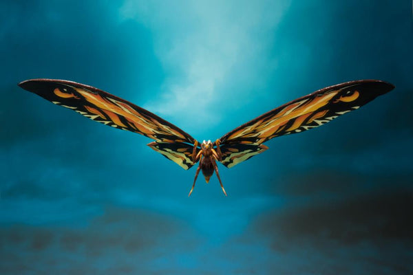 S.H. MonsterArts - Godzilla: King of the Monsters 2019 Mothra & Rodan Two-Pack