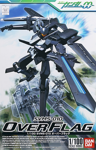 HG 1/100 #06 Over Flag