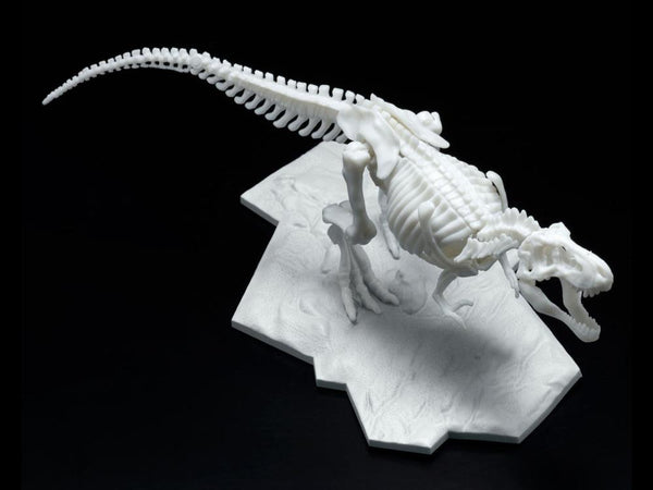 Dinosaur Skeleton Tyrannosaurus Rex Model Kit