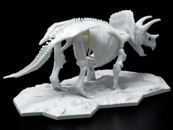 Dinosaur Skeleton Triceratops Model Kit