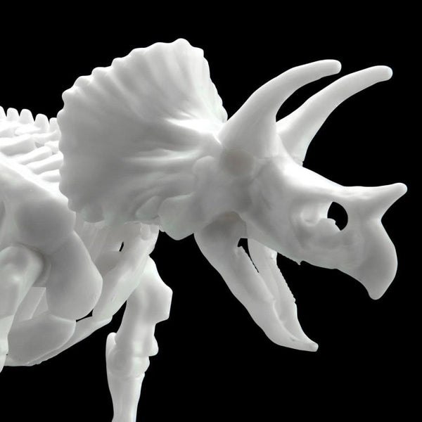 Dinosaur Skeleton Triceratops Model Kit