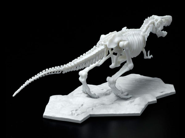 Dinosaur Skeleton Tyrannosaurus Rex Model Kit