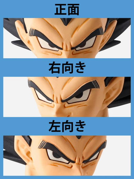 Imagination Works - Vegeta 1/9 Figure