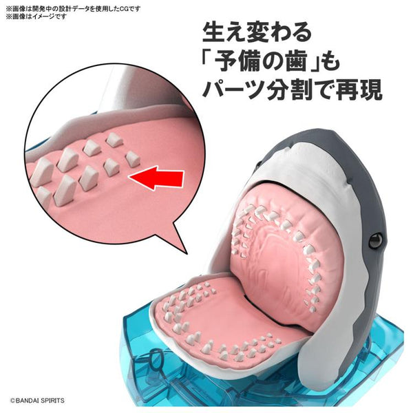 Exploring Lab Nature Great White Shark Model Kit