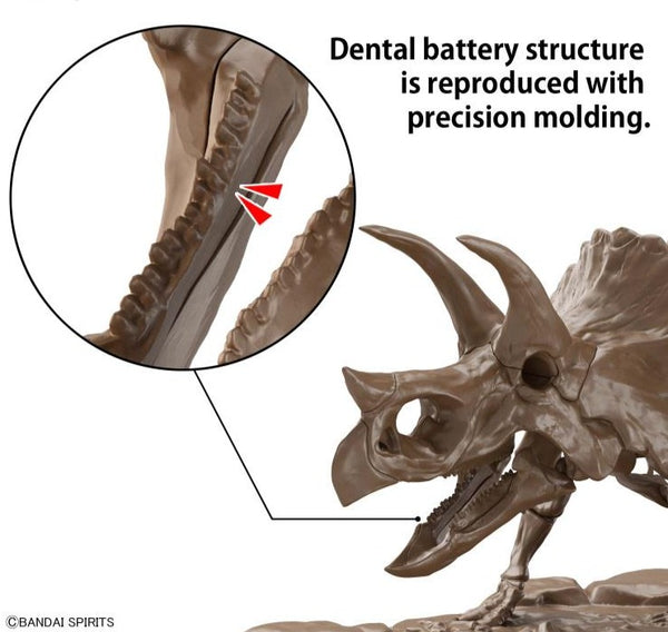 Imaginary Skeleton Triceratops 1/32 Scale Model Kit
