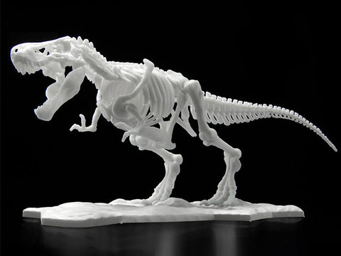 Dinosaur Skeleton Tyrannosaurus Rex Model Kit