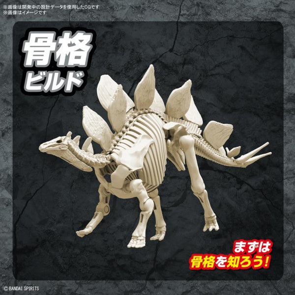 Planosaurus Stegosaurus Model Kit