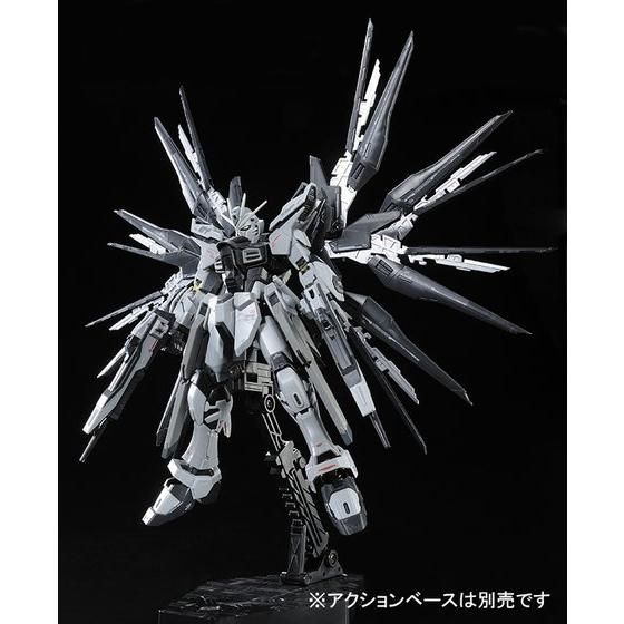 RG Strike Freedom Gundam (Deactive Mode) - P-Bandai Exclusive