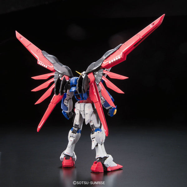 11 RG Destiny Gundam