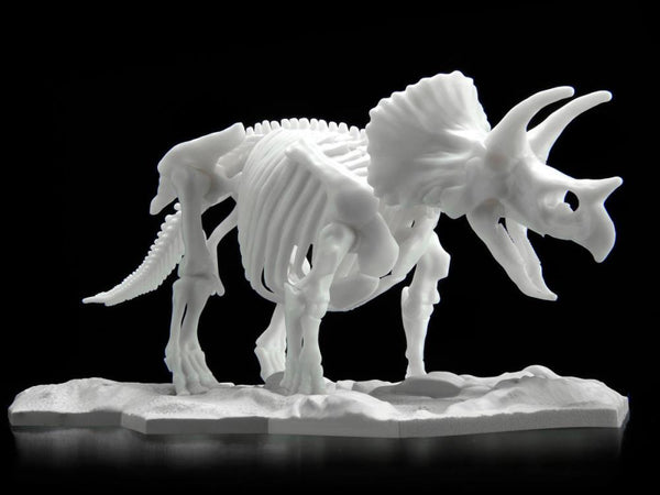 Dinosaur Skeleton Triceratops Model Kit