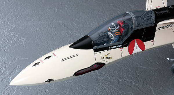 Macross Plus - YF-19 1/48 Model Kit