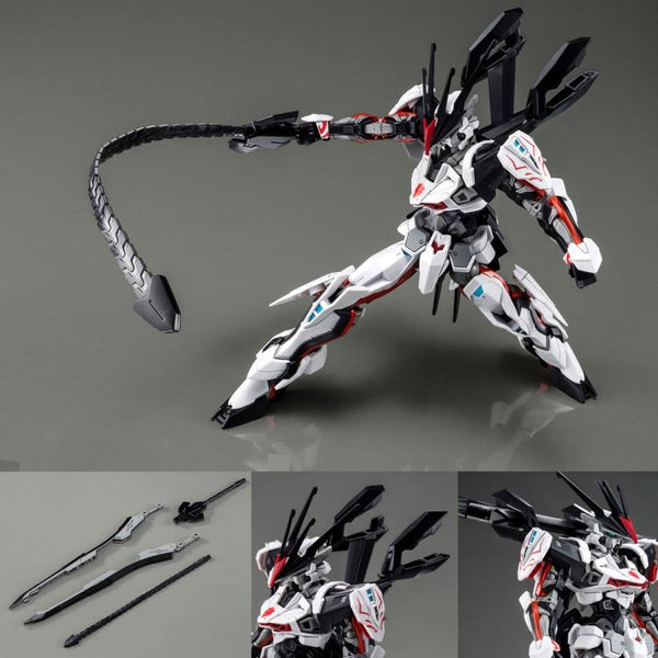 HGCE Load Astray Omega - P-Bandai
