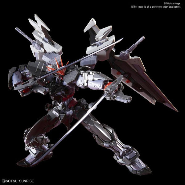 High-Resolution Model - 1/100 Scale Gundam Astray Noir