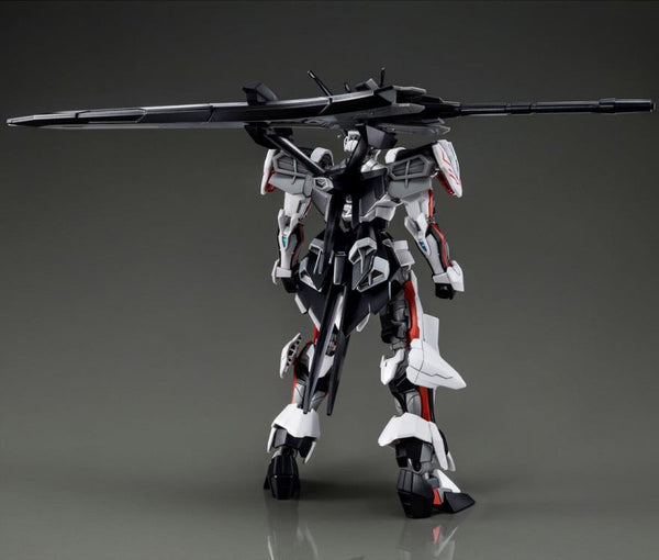 HGCE Load Astray Omega - P-Bandai