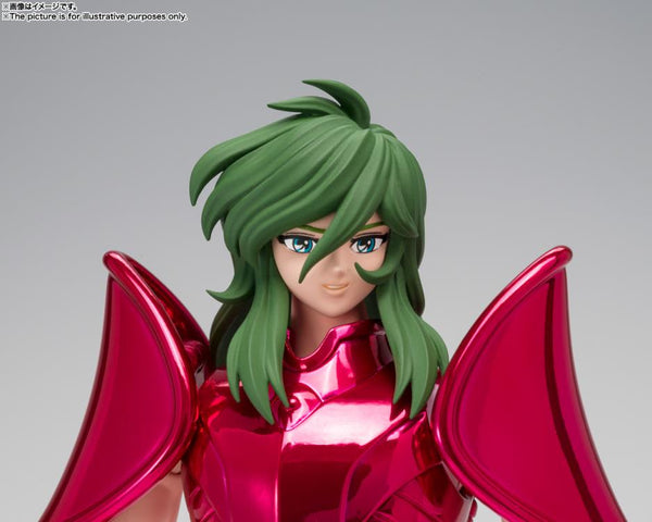 Saint Cloth Myth Cloth EX Andromeda Shun [Final Bronze Cloth