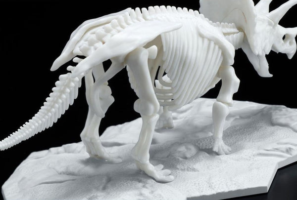 Dinosaur Skeleton Triceratops Model Kit