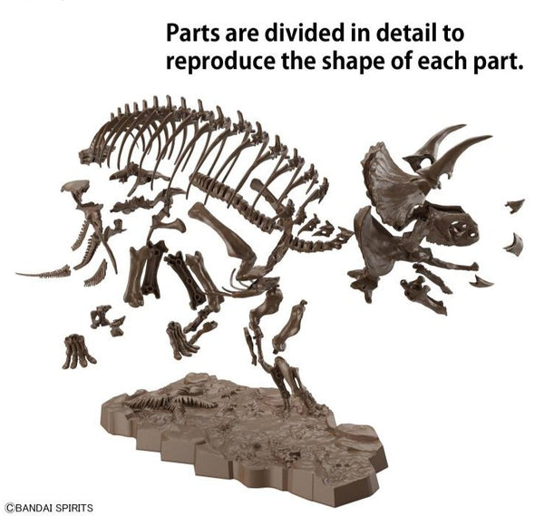 Imaginary Skeleton Triceratops 1/32 Scale Model Kit