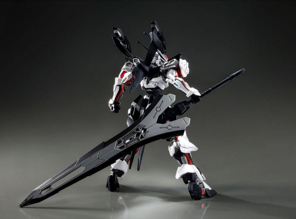 HGCE Load Astray Omega - P-Bandai