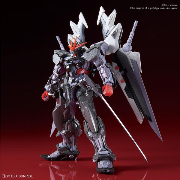 High-Resolution Model - 1/100 Scale Gundam Astray Noir