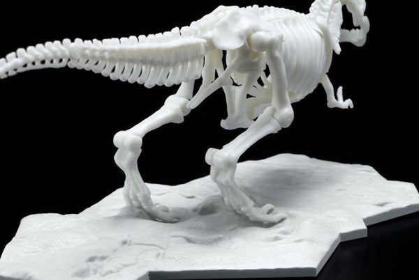 Dinosaur Skeleton Tyrannosaurus Rex Model Kit