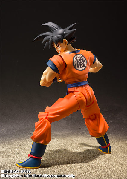S.H.Figuarts Son Goku (A Saiyan Raised On Earth)