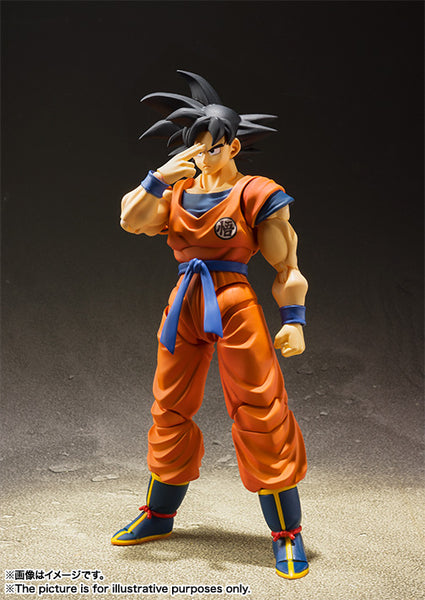 S.H.Figuarts Son Goku (A Saiyan Raised On Earth)